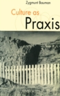 Culture as Praxis - eBook