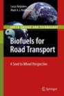 Biofuels for Road Transport : A Seed to Wheel Perspective - eBook