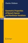 Geometric Properties of Banach Spaces and Nonlinear Iterations - eBook