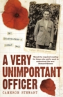 A Very Unimportant Officer - eBook