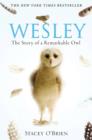 Wesley : The Story of a Remarkable Owl - eBook