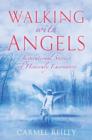 Walking with Angels : Inspirational Stories of Heavenly Encounters - eBook