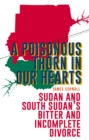 A Poisonous Thorn in Our Hearts : Sudan and South Sudan's Bitter and Incomplete Divorce - eBook