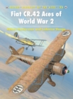 Fiat CR.42 Aces of World War 2 - eBook