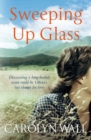 Sweeping Up Glass - eBook