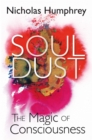 Soul Dust : The Magic of Consciousness - eBook
