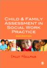 Child and Family Assessment in Social Work Practice - Book