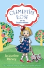 Clementine Rose and the Surprise Visitor - Book