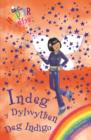 Indeg y Dylwythen Deg Indigo - eBook