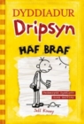 Dyddiadur Dripsyn: Haf Braf - eBook