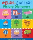 Welsh-English Picture Dictionary - eBook
