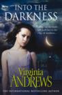 Into the Darkness - eBook