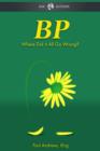 BP - Where Did it All Go Wrong? - eBook
