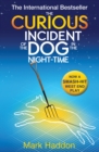 The Curious Incident of the Dog In the Night-time - Book