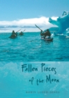 Fallen Pieces of the Moon - eBook