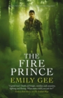 The Fire Prince - eBook