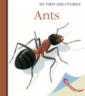 Ants - Book