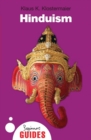 Hinduism : A Beginner's Guide - Book