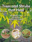 Trees and Shrubs That Heal - eBook