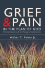 Grief and Pain in the Plan of God : Christian Assurance and the message of Lamentations - Book