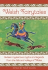 Welsh Fairytales : Sixteen mysterious myths and legends from the hills and valleys of Wales - Book