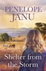 Shelter from the Storm - eBook