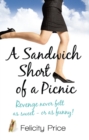 A Sandwich Short of a Picnic - eBook