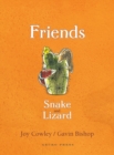 Friends - eBook