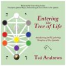 Entering the Tree of Life : Awakening and Exploring Temples of Qabala - Book
