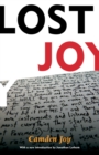 Lost Joy - eBook