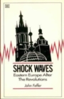 Shock Waves : Eastern Europe After the Revolutions - Book