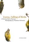 Icarus, Falling of Birds - Book