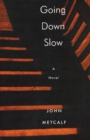 Going Down Slow - eBook