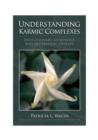 Understanding Karmic Complexes - eBook