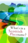 What's in a Scottish Placename? - Book