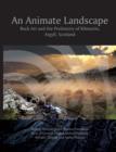 An Animate Landscape : Rock Art and the Prehistory of Kilmartin, Argyll, Scotland - eBook