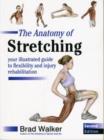 The Anatomy of Stretching : Your Illustrated Guide to Flexibility and Injury Rehabilitation - Book