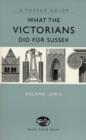 What the Victorians Did for Sussex - Book