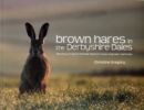 Brown Hares in the Derbyshire Dales : The Story of One of the Peak District's Most Enigmatic Mammals - Book