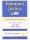 Criminal Justice 2000 - eBook