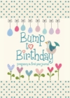 Bump to Birthday, Pregnancy & First Year Journal - Book