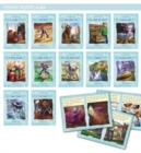 Phonic Books Alba : Decodable Phonic Books for Catch Up (CVC, Alternative Consonants and Consonant Diagraphs, Alternative Spellings for Vowel Sounds - ai, ay, a-e, a) - Book