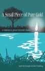 A Small Piece of Pure Gold - eBook