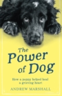 The Power of Dog - eBook