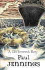 A Different Boy - Book