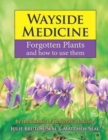 Wayside Medicine : Forgotten Plants and how to use them - Book