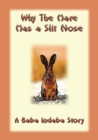 Why the Hare Has A Slit Nose : A Baba Indaba Story - eBook