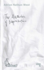 Aesthetics of Degradation - eBook