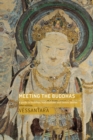 Meeting the Buddhas - eBook