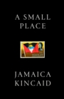 A Small Place - eBook